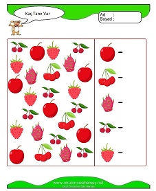 Kaç Tane Var Çalışma Sayfaları